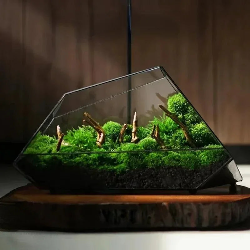 Glass Vase Micro Landscape Planter Rainforest Tank Moss Eco Vase Home Decoration Geometric Glass Flower Room Hydroponic Vase