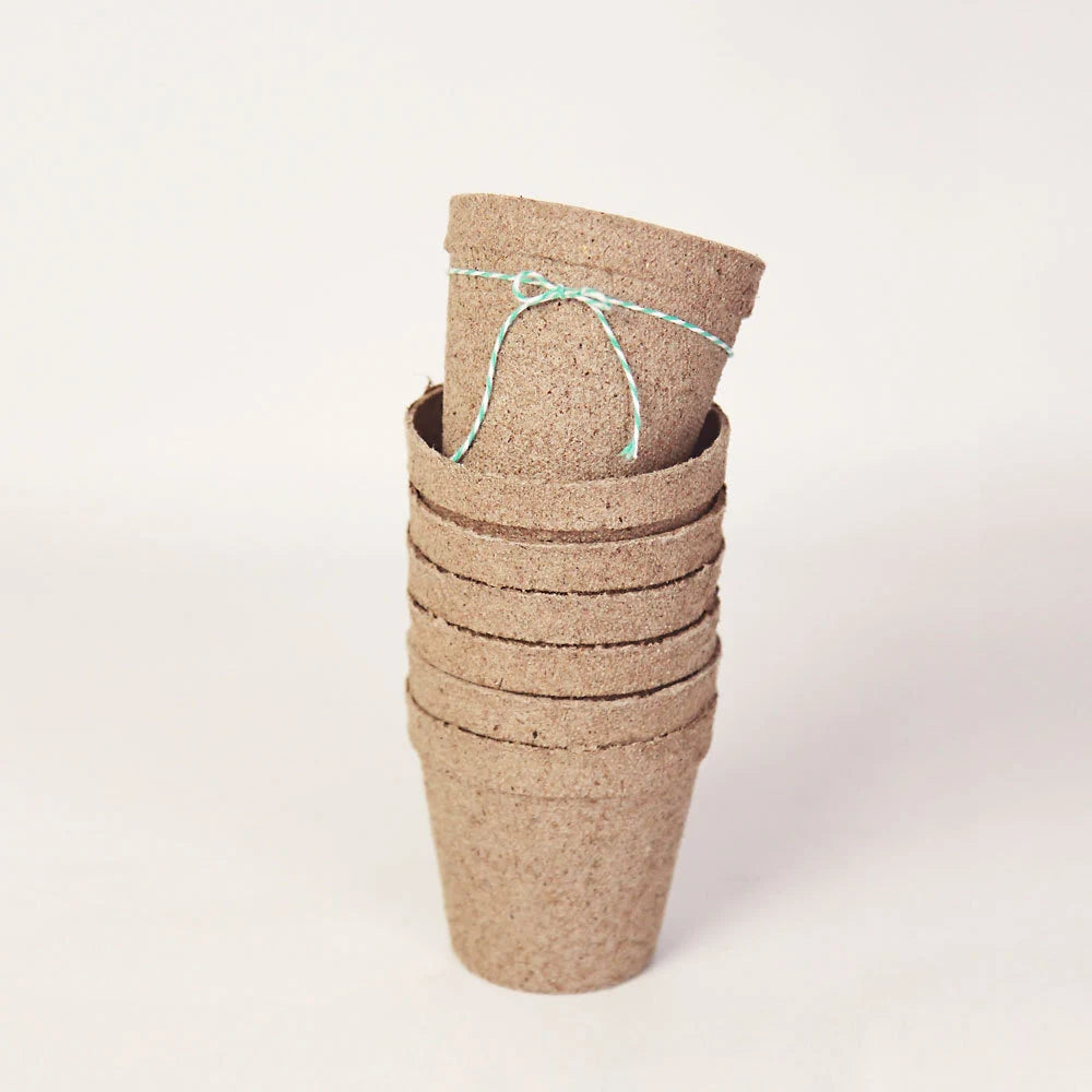 Biodegradable Pulp Containers - Succulent Favor Pots - Set of 10 - { Succulents Not Included } Peat Pots