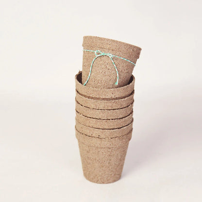 Biodegradable Pulp Containers - Succulent Favor Pots - Set of 10 - { Succulents Not Included } Peat Pots