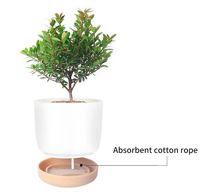 Cylinder Drainage Flower Plant Pots | Decorative | Ideal for Cactus