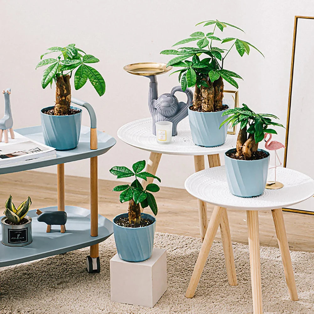 Succulents Flower Pots Planter | Decorative | EASY DRAINAGE