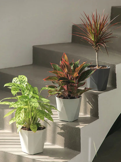 High Quality, Modern Style Plastic Flower Pots