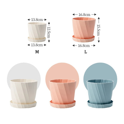 Succulents Flower Pots Planter | Decorative | EASY DRAINAGE