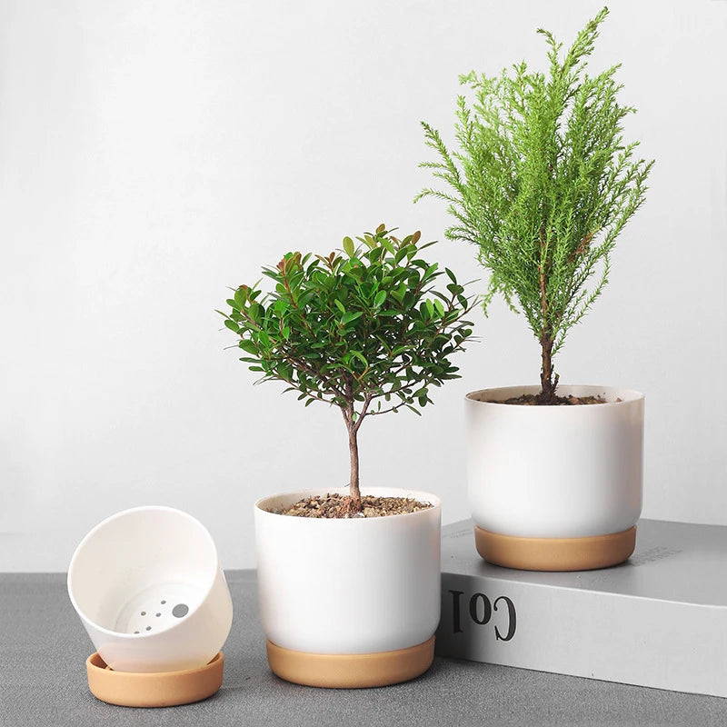 Large/Small Succulent Planter Imitation Ceramic Plastic Flower Pot Cylinder Flower Pots for Cactus with Drainage Hole Pots Plant