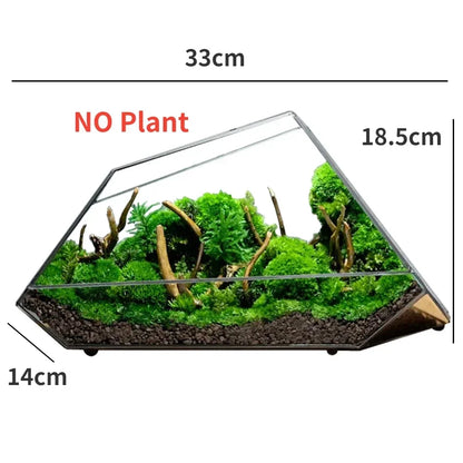 Glass Vase Micro Landscape Planter Rainforest Tank Moss Eco Vase Home Decoration Geometric Glass Flower Room Hydroponic Vase