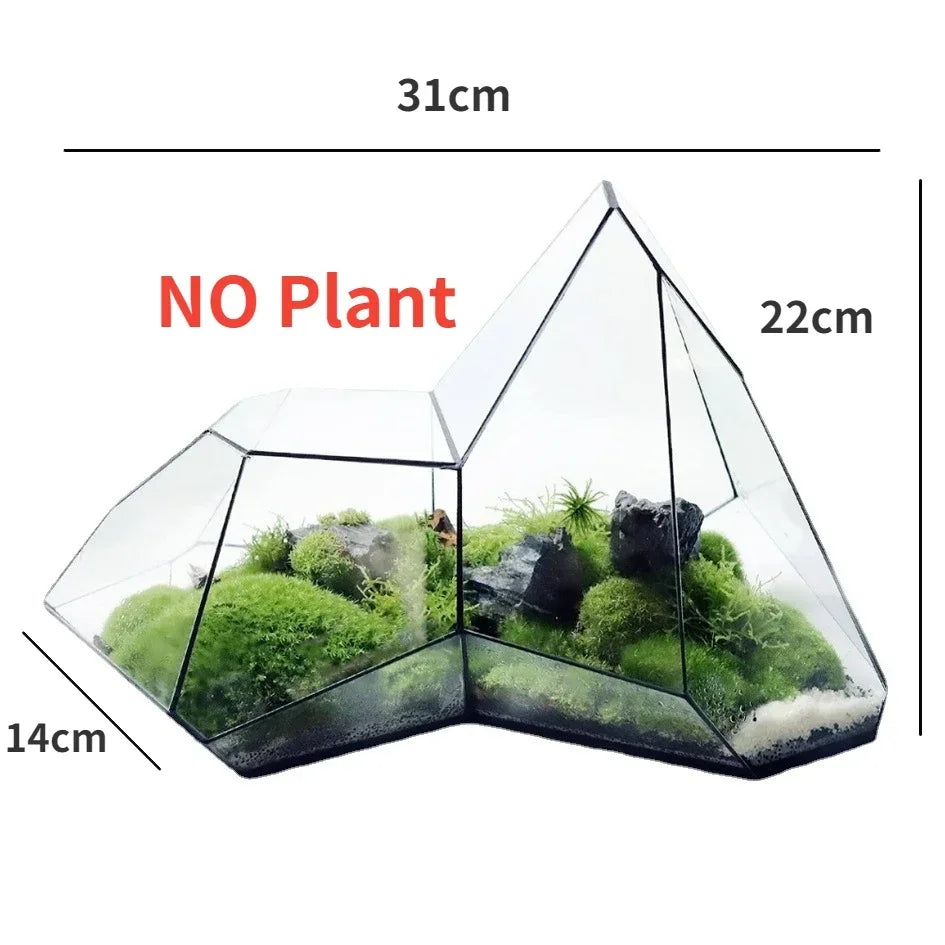 Glass Vase Micro Landscape Planter Rainforest Tank Moss Eco Vase Home Decoration Geometric Glass Flower Room Hydroponic Vase