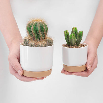 Large/Small Succulent Planter Imitation Ceramic Plastic Flower Pot Cylinder Flower Pots for Cactus with Drainage Hole Pots Plant