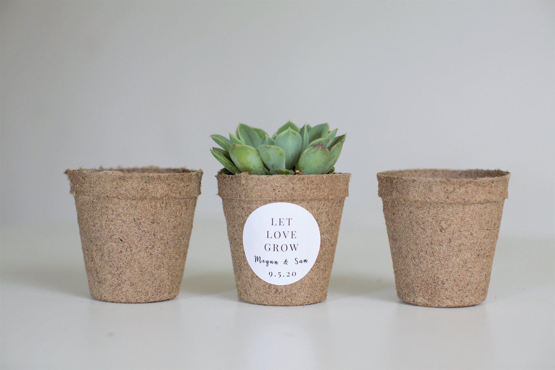 Biodegradable Pulp Containers - Succulent Favor Pots - Set of 10 - { Succulents Not Included } Peat Pots