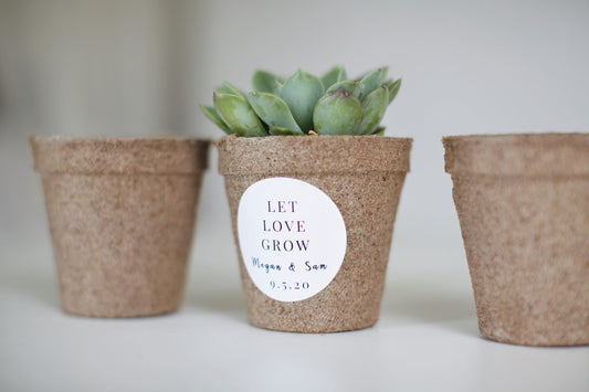 Biodegradable Pulp Containers - Succulent Favor Pots - Set of 10 - { Succulents Not Included } Peat Pots